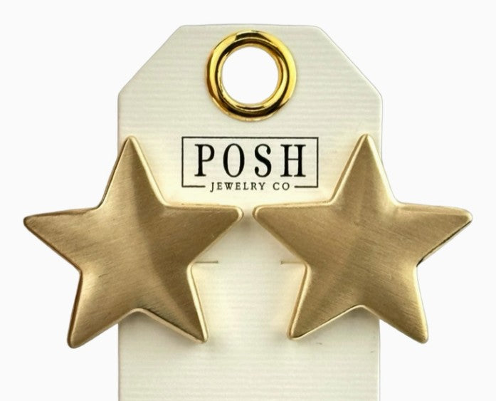 9PE597G04 - Brushed Finish Star Earring-10-Jewelry-Pink Panache Brands-Krista Anne's Boutique, Women's Fashion and Accessories Located in Oklahoma City, OK and Black Mountain, NC