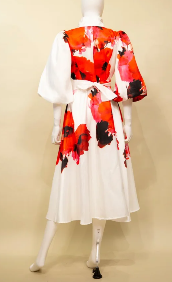 S23035 - Printed Duppioni Dress w/ Double Collar-06-Dresses/Jumpsuits-Samuel Dong-Krista Anne's Boutique, Women's Fashion and Accessories Located in Oklahoma City, OK and Black Mountain, NC
