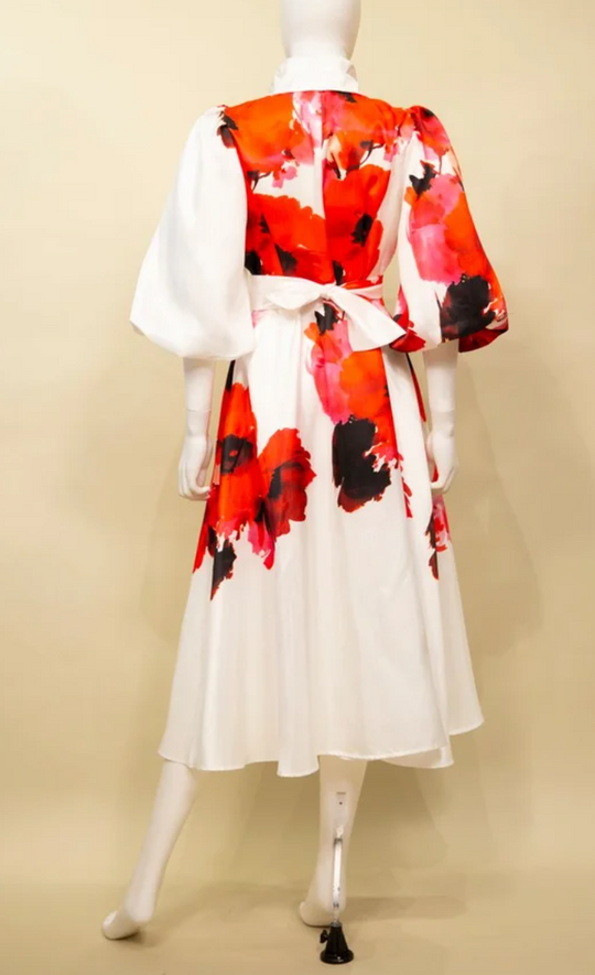 S23035 - Printed Duppioni Dress w/ Double Collar-06-Dresses/Jumpsuits-Samuel Dong-Krista Anne's Boutique, Women's Fashion and Accessories Located in Oklahoma City, OK and Black Mountain, NC