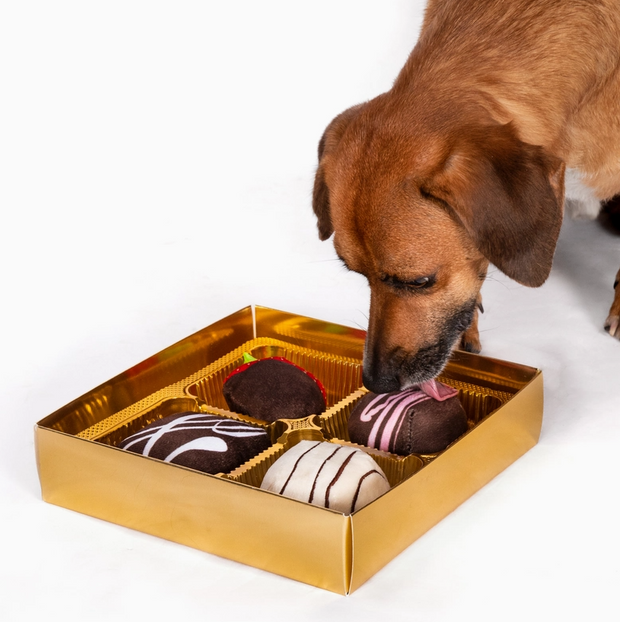 "Dogiva" Dog Toy Gift Box