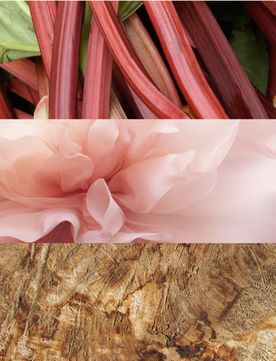 Yodeyma N°31 Perfume - Luxury Rhubarb Rose Cashmeran Fragrance-Perfume-Yodeyma-Krista Anne's Boutique, Women's Fashion and Accessories Located in Oklahoma City, OK and Black Mountain, NC