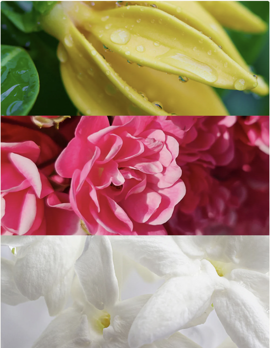 Yodeyma N°7 Perfume - Luxury Ylang-Ylang Rose & Jasmine Fragrance-Perfume-Yodeyma-Krista Anne's Boutique, Women's Fashion and Accessories Located in Oklahoma City, OK and Black Mountain, NC