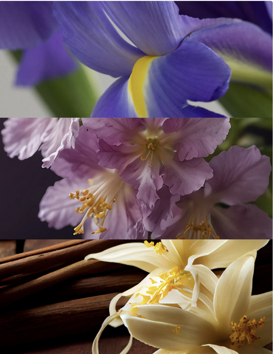 Yodeyma N°8 Perfume -Luxury Floral Gourmand Fragrance-Perfume-Yodeyma-Krista Anne's Boutique, Women's Fashion and Accessories Located in Oklahoma City, OK and Black Mountain, NC