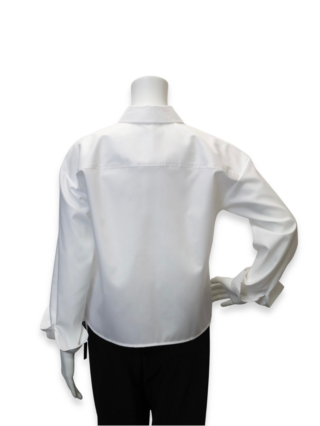 204597 - Marina Long Sleeve Pearl Blouse-02-Tops/Blouses-Foxcroft-Krista Anne's Boutique, Women's Fashion and Accessories Located in Oklahoma City, OK and Black Mountain, NC