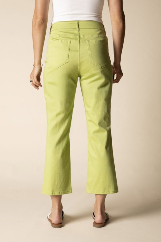 11471 - Stretch Denim Seamed Cropped Flare Pant-04-Bottoms-Habitat-Krista Anne's Boutique, Women's Fashion and Accessories Located in Oklahoma City, OK and Black Mountain, NC